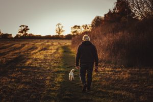 man and dog walking through field at sunset